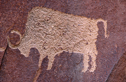 Native Americans carved this bison petroglyph into Wingate sandstone cliffs, now part of Utah's Newspaper Rock State Historical Monument. Today, tribal bison herds are managed on over 1 million acres of tribal lands, mostly in the west.